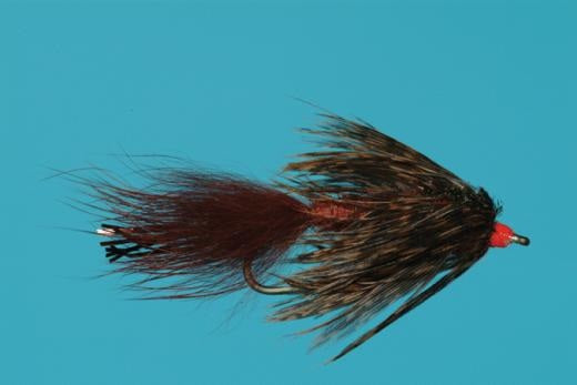 Swimming Carp Nymph - Solitude