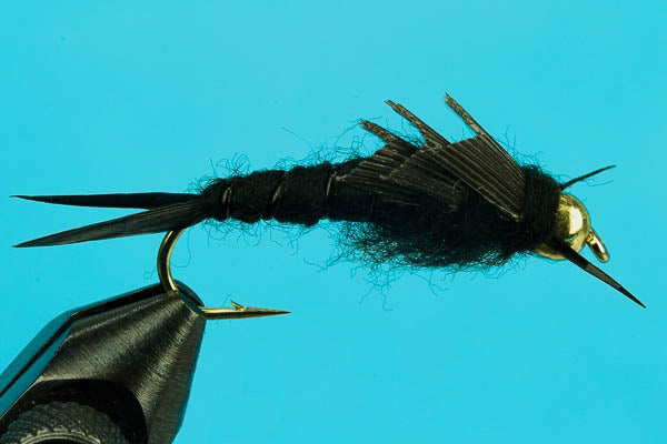 Kaufmann Stone - Tungsten