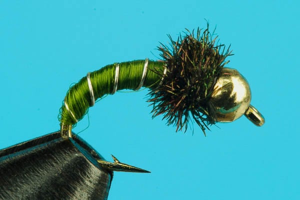 Zebra Midge Curved - Tungsten