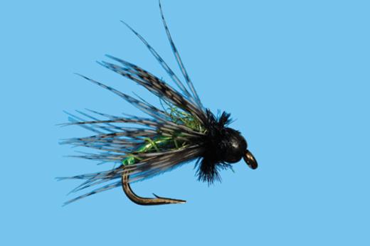 Tungsten G6 Caddis - Solitude