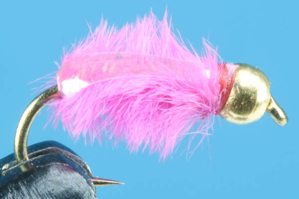 Ray Charles-Beadhead