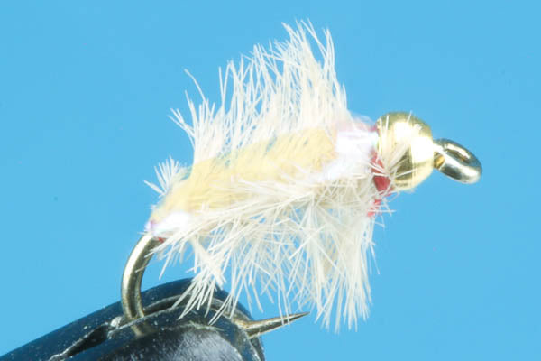 Ray Charles-Beadhead