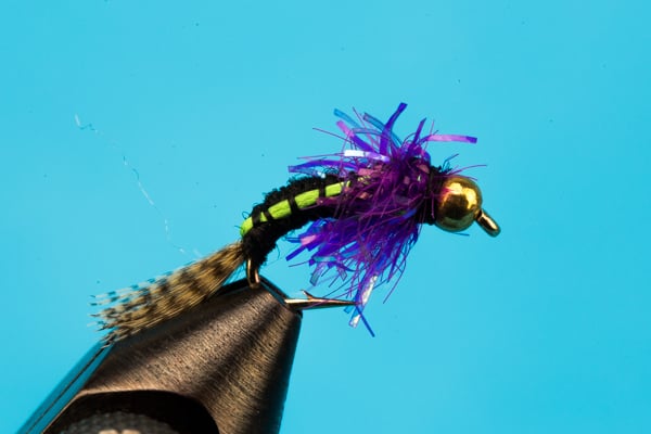 Steelhead Hammer-Beadhead