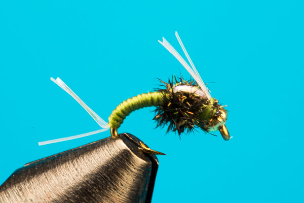 WD-40 Flash-Beadhead