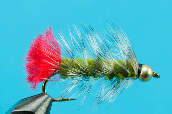 Woolly Worm-Beadhead