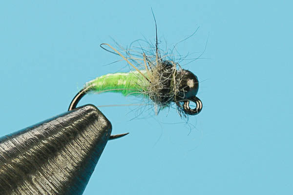 Czech Caddis - Tungsten (Barbless)