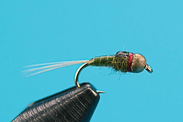 Czech Master - Tungsten