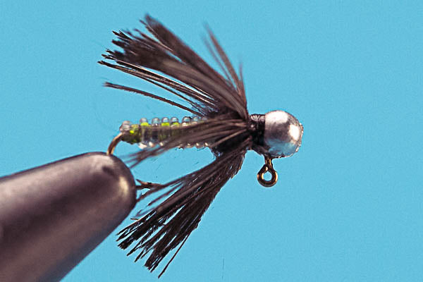 Dazzle Caddis - Tungsten