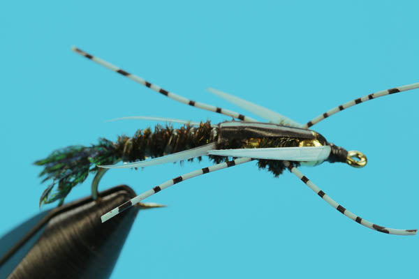 Double Bead Peacock Stonefly