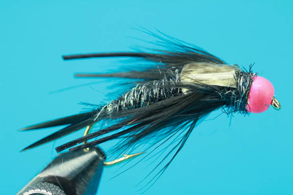 Egg Sucking Stone-Beadhead