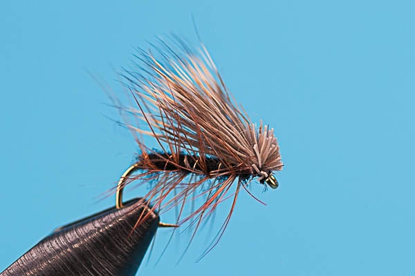 Elk Hair Caddis Black dry fly for trout fishing from Littlebrightmarkets
