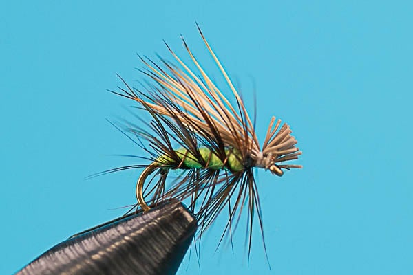 Elk Hair Caddis
