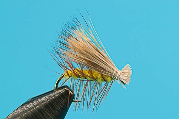 Elk Hair Caddis