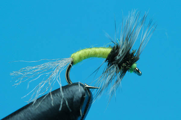 Griffith Gnats Emerger
