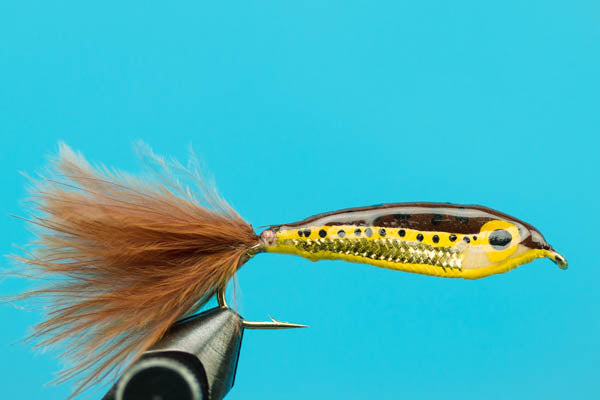 Janssen's Minnow--Brown Trout