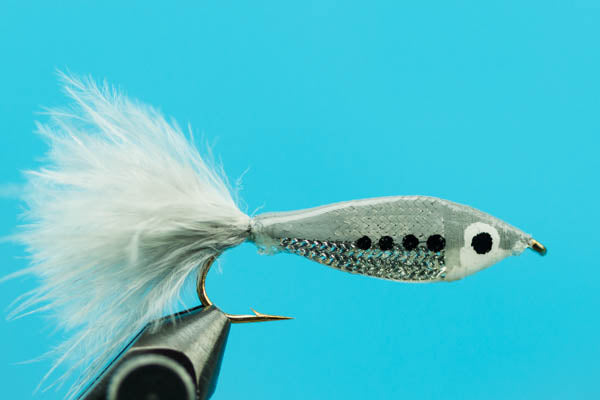 Janssen's Minnow--Shad
