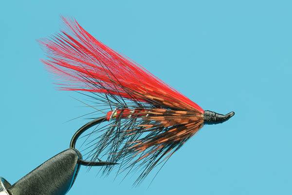 Spey Fly