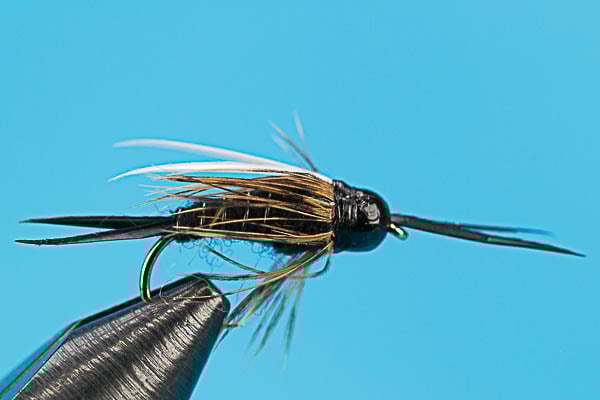 Stone Prince - Tungsten