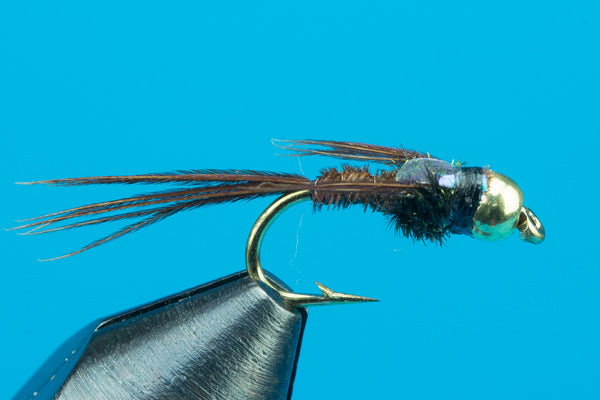 Flashback Pheasant Tail - Tungsten